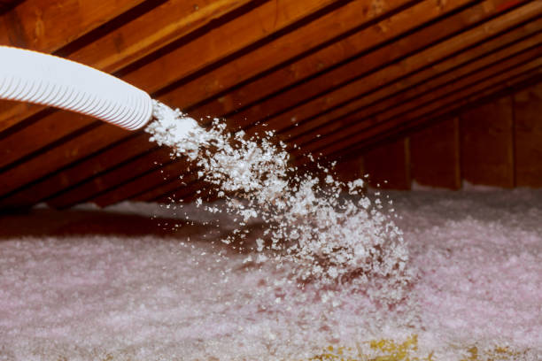 Best Energy Efficiency Solutions in Blythewood, SC