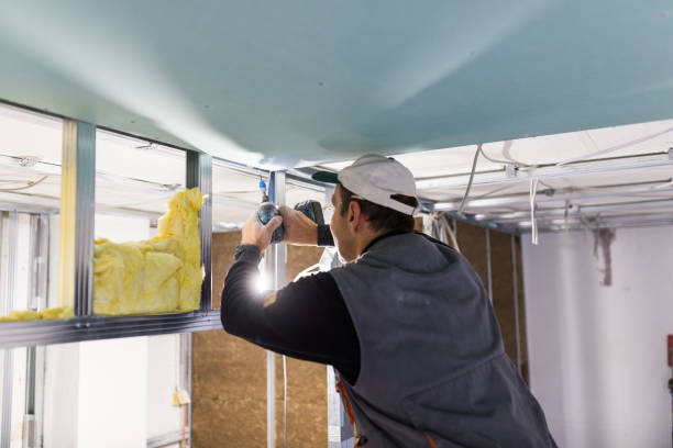 Best Types of Insulation in Blythewood, SC