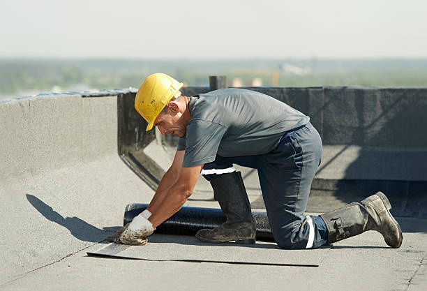 Best Insulation Maintenance and Repair in Blythewood, SC